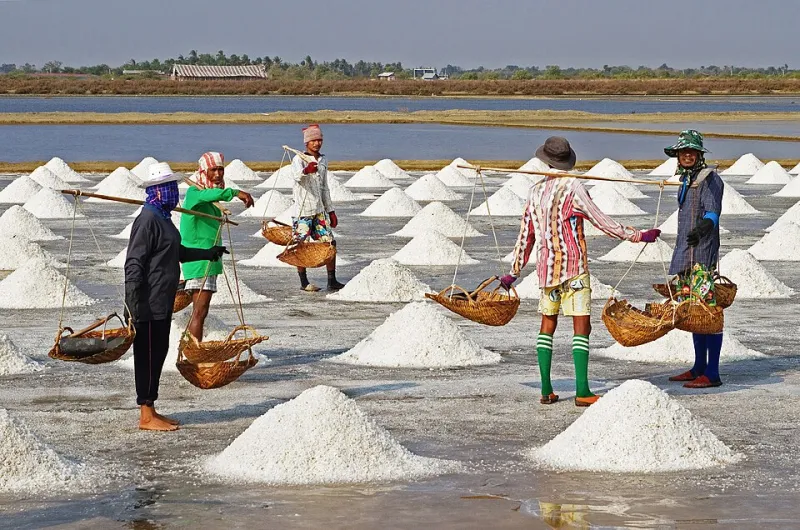Your Sugar Isn't Too Sweet — Your Salt Is Too Shy