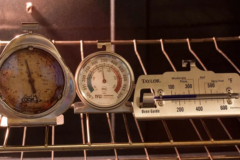 Seven Days, One Thermometer, and the Truth About My Kitchen